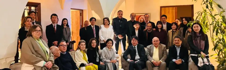 AATUJA-x-Dar-el-lamma-x-japan